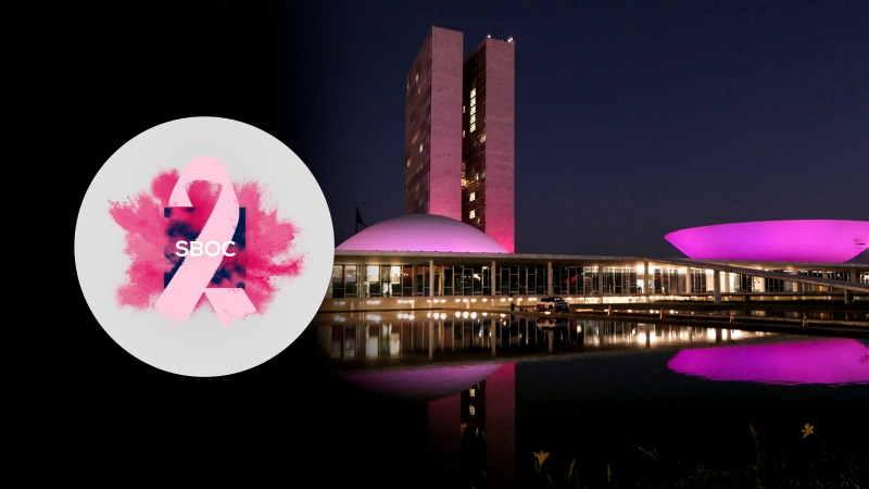 SBOC discute Lei dos 30 Dias e jornada da paciente com c&acirc;ncer de mama na C&acirc;mara