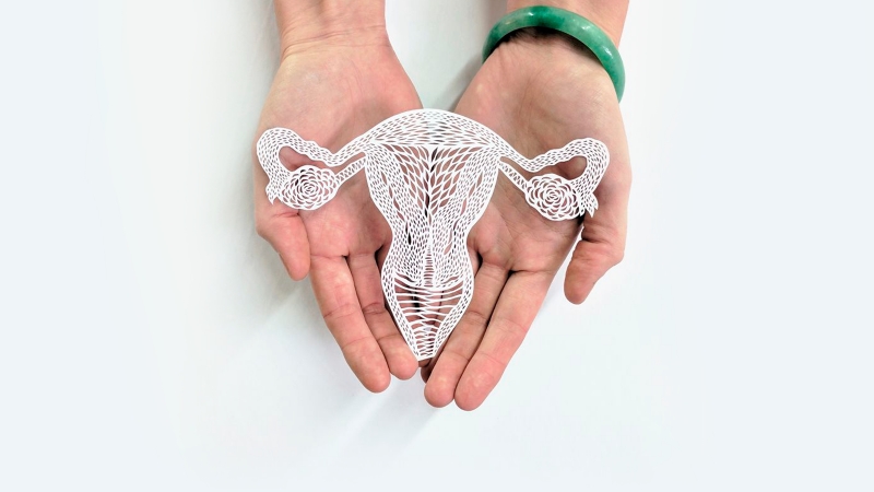 SBOC oficializa parceria com o EVA - Grupo Brasileiro de Tumores Ginecol&oacute;gicos