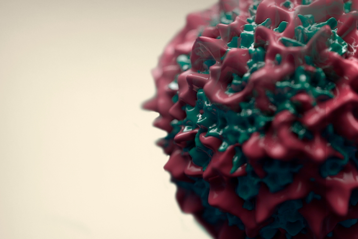 Coronav&iacute;rus (COVID-19) - Informa&ccedil;&atilde;o ao Paciente