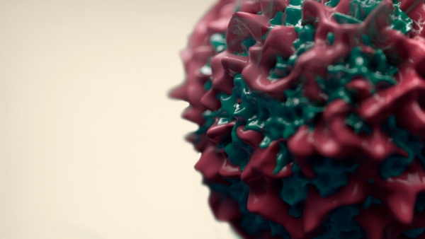 Posicionamento SBOC - Coronav&iacute;rus (COVID-19) - Informa&ccedil;&atilde;o ao Paciente